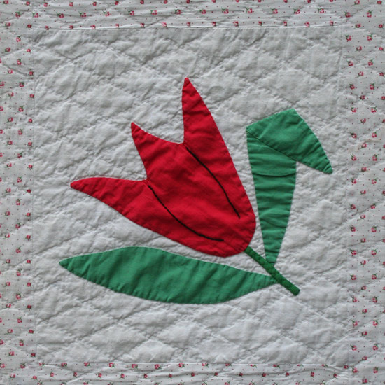 [redtulipdet2.jpg]